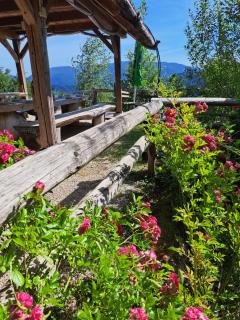 Glamping Gril - 8