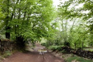 Casa Correcaminos - 9