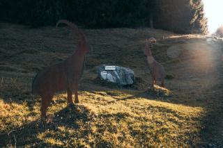 Fewo Bergstories - 1