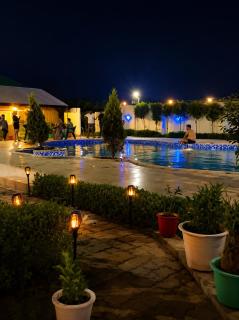 Poolside Paradise - 4