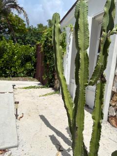 CHEERFUL PRIVATE ROOM 2 MILES AWAY FROM SUNNY ISLES BEACH - 5