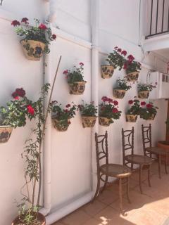 Casa Coco No 11 - 2