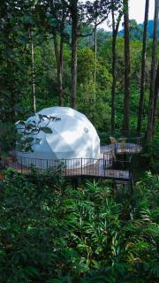 The Edens Glamp Munnar - 3