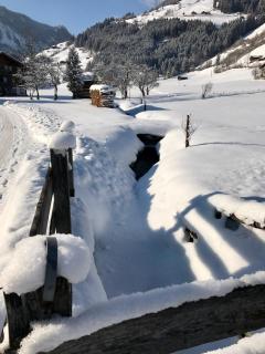 Ferienwohnung Wald - Wald im Pinzgau - 1