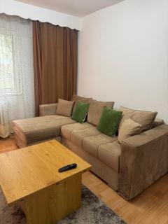 Sabera Nest - 2