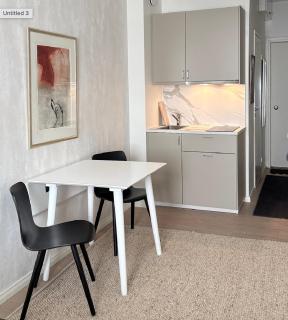 Executive Studio, Metro 150m, Easy City Access - 4