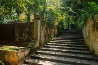 Sri Yoga Shala - 6