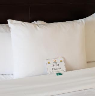 Quality Suites - 4