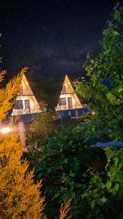 The peak & pine by lake & woods - 6