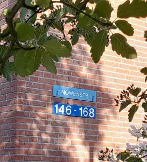 Möwe 146 - 8