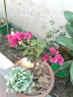 Utsav Villa - 6