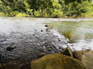 Cabinas del Río - 1