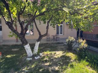 Live like a local in Timisoara - 5