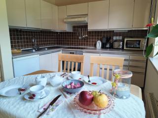 Apartment Dreier - Salzburger Land - 4