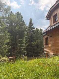 NEU komplett saniert - Falkert Lodge Alpine Escape - Falkertsee - 2