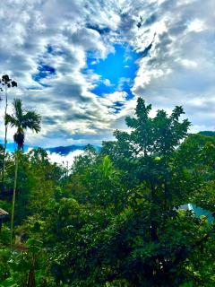 New Green View Guest House Kithal Ella - 7