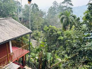New Green View Guest House Kithal Ella - 6