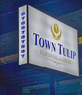 Town Tulip - 8