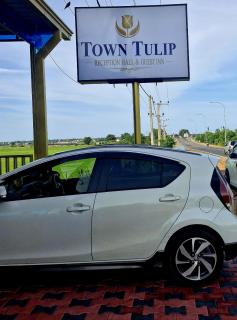 Town Tulip - 6