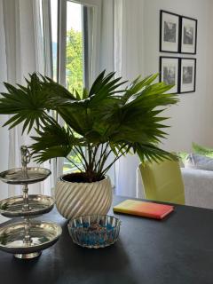 DELUX-Apartment in Baden-Baden - 6