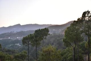 Misty Hills Homestay Kasuali - 6