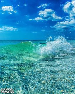 Private 3BR Pool Retreat Near Anna Maria Island - 9