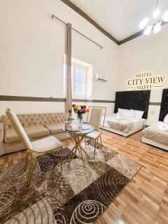 Velvet city view - 9