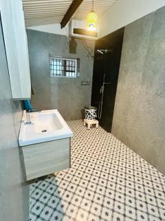 Springdale Villa - 4