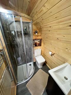 Mountain View Cabin with Private Hot Tub Snowdonia - 5
