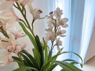 Residence Atlantic - Premium Apartment - WiFi, Gardien, Parking, Climaté - 4