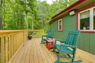 Finger Lakes Retreat: Cohocton Cabin on 25 Acres! - 9
