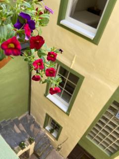 Grünberg House - 9