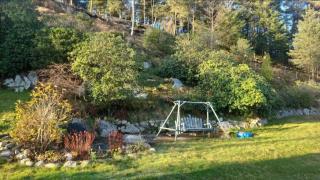 Cabin and Guest house - 5