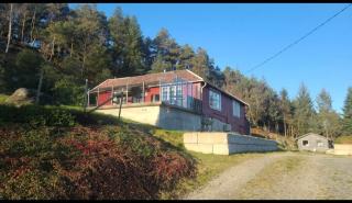 Cabin and Guest house - 0
