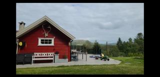 Cabin and Guest house - 9