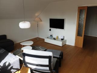 Cozy apartment in a quiet neighbourhood - 1