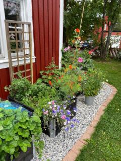 Private house in central Umeå with many bedrooms - 8