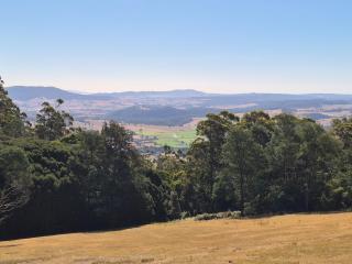 The Trig on Mt Arthur - 6