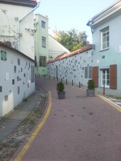 Luxury Old Town apartment - Vilnius - 0