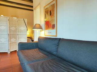 Penthouse in the heart of Barcelona. Rambla E - Barcellona - 1