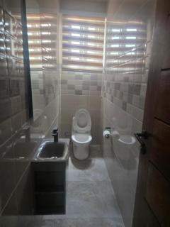 A fully furnished and luxurious 2 bedroom apartment at Tse Addo - 4