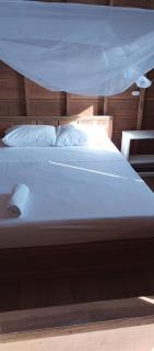 Vive Termales - 1