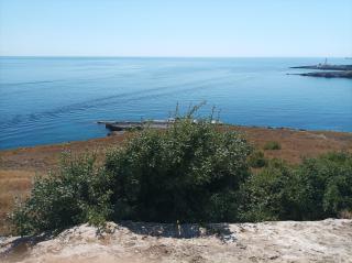 Little Paradise - Augusta - 0