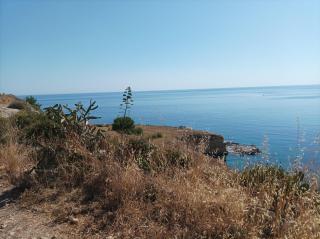Little Paradise - Augusta - 4