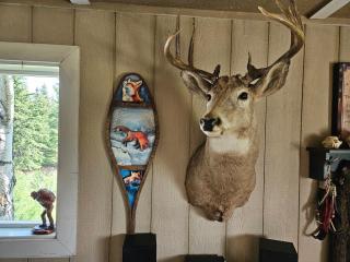 Hidden Creek Cabin - 4