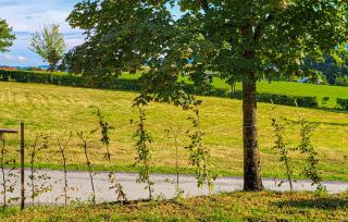 Wildkraeuterweg 14 - 3