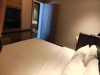 Hanting Premium Hotel Beijing Yongfeng Technology Park - 2