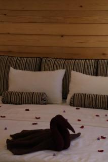 The Palace Eco Cottage - 5