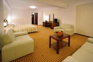 Hotel Citrin - Adults Only - Brasov - 3