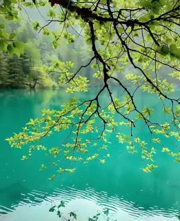 Qinghe Courtyard Jiuzhaigou QINGHE Hot Spring Luxury Private Hot Spring Villa - 9